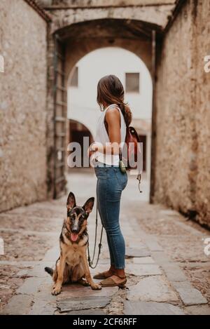 Netter deutscher Schäferhund, der auf Pflastersteinpflaster steht, mit dem Besitzer, der steht Stockfoto