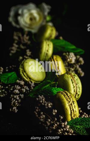 Hausgemachte grüne Macarons grün mit Minze auf dunklem Hintergrund. Dunkles Essen. Stockfoto