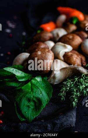 Wildpilzsortiment mit Zwiebeln, Chilischoten, Thymian, Rosmarin und Basilikum auf dunklem Hintergrund. Veganes Lebensmittelkonzept. Makro Stockfoto