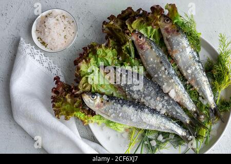 Von oben zubereitete herzhafte Makrele auf Salatblättern serviert Mit Stücken Meersalz auf Teller auf weißem Hintergrund Stockfoto