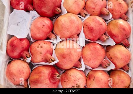 Gruppe von Granatäpfeln auf dem Markt. Stockfoto