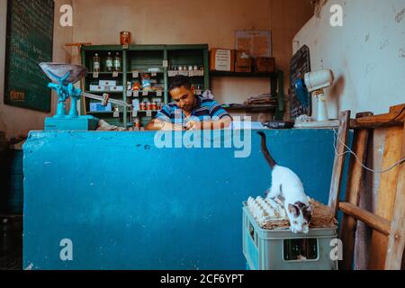 Santiago de Cuba, Kuba - 16. DEZEMBER 2019: Männlicher Besitzer eines kleinen lokalen Lebensmittelladens, der an der Theke arbeitet und sich Notizen macht, während die Katze auf der Eierbox sitzt Stockfoto