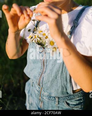 Eine Frau, die nicht mehr erkennbar ist, in legerer Kleidung mit einem Bouquet frischer Kamillen auf der Brust, während sie den sonnigen Tag auf einer grünen Wiese auf dem Land genießt Stockfoto