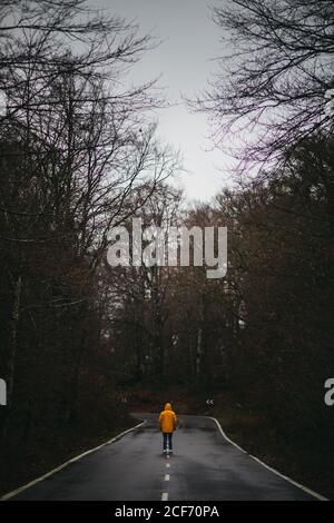 Rückansicht des anonymen Mannes in gelber Jacke, der auf geht Leere Asphaltstraße zwischen grünem Wald Stockfoto