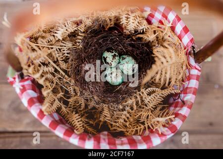 Nest mit blauen Eiern in einem Korb Stockfoto