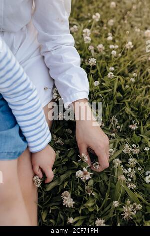 Von oben anonyme Frau und Mädchen sitzen auf grünem Rasen mit weißen Blumen, während sie Zeit im Park zusammen verbringen Stockfoto