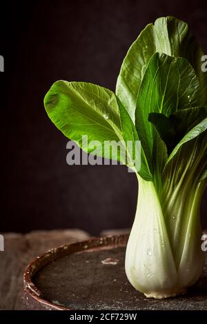 Frische reife bok Choy auf verwitterte runde Box auf gelegt Holztisch Stockfoto