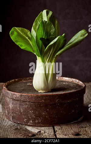 Frische reife bok Choy auf verwitterte runde Box auf gelegt Holztisch Stockfoto