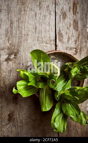 Draufsicht auf frisch reifen Bok Choy auf verwittert platziert Runder Kasten auf Holztisch Stockfoto