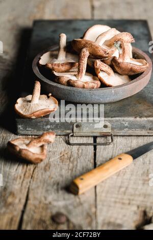 Hoher Winkel von frisch gesammelten braunen Pilzen Shiitake in grau Schüssel auf rostigen Metalltablett auf schäbigen rustikalen Holztisch Stockfoto