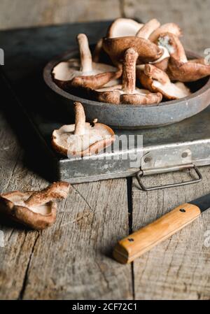 Haufen von frischen braunen Pilzen auf rustikalem Holztisch Stockfoto