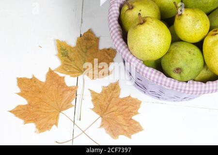 Reife Birnen der neuen Ernte in einem Weidenkorb. In der Nähe sind getrocknete Ahornblätter. Stockfoto