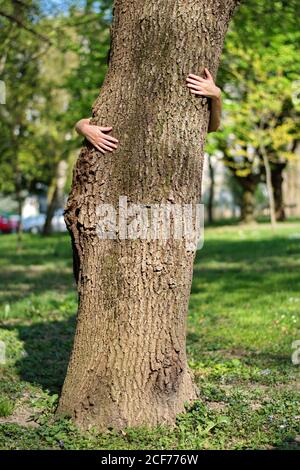 Die Hände der Frau umarmen einen Baumstamm Stockfoto