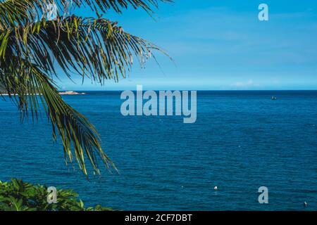 Wilde Schönheit Panorama Skyline. Reines blaues azurblaues Meer, klarer Himmel Hintergrund Kopierraum, Palmzweige, Sonne auf Blättern. Ideal für Designtapete. Tourismus Stockfoto