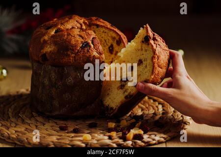 Frau Hand nimmt ein Stück Panettone Stockfoto