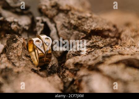 Nahaufnahme von goldenen Eheringen, die zuvor auf Baumrinde gelegt wurden Hochzeitszeremonie Stockfoto