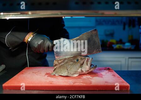 Unkenntlich garen in schwarzer Uniform und Handschuhe mit Metallspalter Beim Schneiden Kopf von großen frischen Fisch auf rot gehackt Tafel am Tisch gegen verschwommenes Interieur der modernen Küche Stockfoto