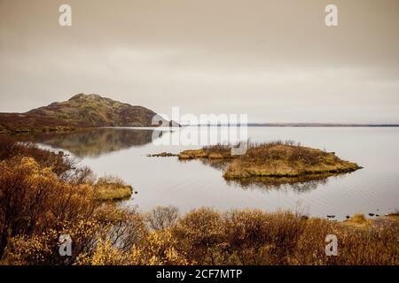 Malerischer Blick auf See und Küste mit Steinklippe und Trockenes Gras in Island Stockfoto