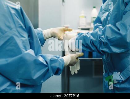 Seitenansicht der Ernte OP-Team in blauem Kleid Putting Auf weißen Handschuhen und Vorbereitung für den Betrieb Stockfoto