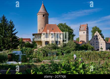 Salwartenturm und Gärten davor, Nördlinger Tor dahinter, Dinkelsbühl, Mittelfranken, Bayern, Deutschland Stockfoto