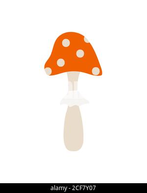 Handgezeichneter Pilz isoliert auf weißem Hintergrund. Fliege agarischer, giftiger Pilz. Roter Hut mit weißen Punkten. Stock Vektor
