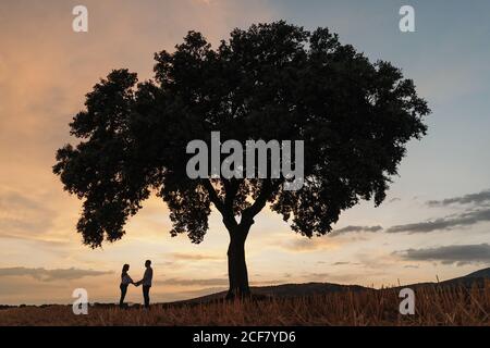 Silhouetten von unkenntlichen Männern und Frauen, die Hände halten und unter einem Baum bei Sonnenuntergang am wolkenbetrüben Himmel stehen, während ein romantisches Date in der Natur Stockfoto
