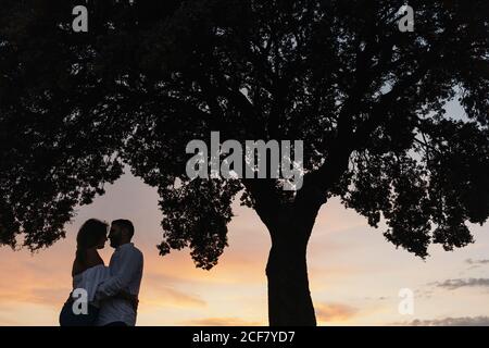 Silhouetten von unkenntlichen Männern und Frauen, die Hände halten und unter einem Baum bei Sonnenuntergang am wolkenbetrüben Himmel stehen, während ein romantisches Date in der Natur Stockfoto