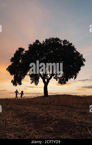 Silhouetten von unkenntlichen Männern und Frauen, die Hände halten und unter einem Baum bei Sonnenuntergang am wolkenbetrüben Himmel stehen, während ein romantisches Date in der Natur Stockfoto