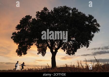 Silhouetten von unkenntlichen Männern und Frauen, die Hände halten und unter einem Baum bei Sonnenuntergang am wolkenbetrüben Himmel stehen, während ein romantisches Date in der Natur Stockfoto