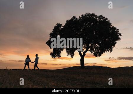 Silhouetten von unkenntlichen Männern und Frauen, die Hände halten und unter einem Baum bei Sonnenuntergang am wolkenbetrüben Himmel stehen, während ein romantisches Date in der Natur Stockfoto