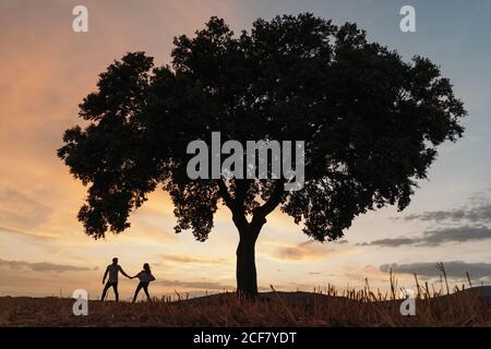 Silhouetten von unkenntlichen Männern und Frauen, die Hände halten und unter einem Baum bei Sonnenuntergang am wolkenbetrüben Himmel stehen, während ein romantisches Date in der Natur Stockfoto