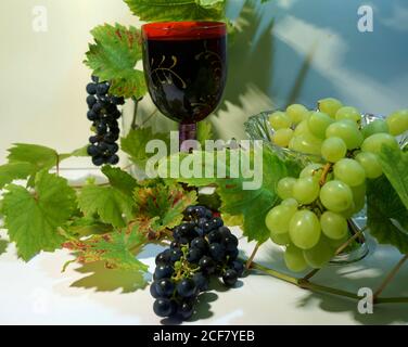 Zusammensetzung von Rotwein in einem speziellen Weinglas, weiße und blaue Trauben in einer Glasschale und Reben. Stockfoto