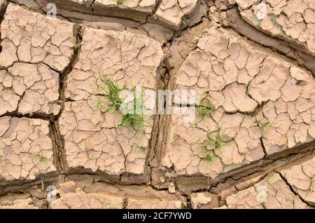 Trockene See oder Sumpf in den Prozess der Dürre und Mangel an Regen oder Feuchtigkeit, eine globale Katastrophe. Die Risse im Boden der Erde durch den Klimawandel chan Stockfoto