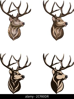 Hirsch, Hirsch Zeichnung, Porträt, Vektor, Illustration, schwarz und weiß, Silhouette, Kopf, Symbol, Vektor, weiß, Illustration, Zeichnung, Ansicht, Zeitplan Stock Vektor