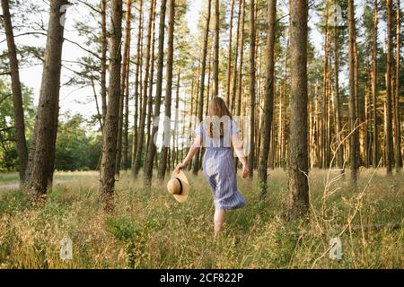 Rückansicht einer unbeschwerten erwachsenen Frau in Strohhut und Sundress, die an sonnigen Tagen zwischen Kiefern entlang der Waldstraße läuft Stockfoto