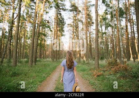 Rückansicht einer unbeschwerten erwachsenen Frau in Strohhut und Sundress, die an sonnigen Tagen zwischen Kiefern entlang der Waldstraße läuft Stockfoto