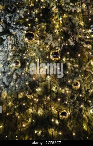 Nahaufnahme von traditionellen grünen Weihnachtsbaum mit goldenen Kugeln verziert Und Girlanden von Lichtern Stockfoto