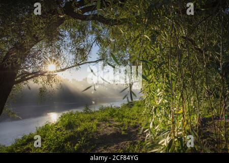 Sommer Sonnenaufgang über dem EMMA Fluss in Estland, baltische Natur, die ersten Sonnenstrahlen im Nebel. Hochwertige Fotos Stockfoto