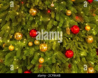 Dicker Weihnachtsbaum mit roten und goldenen Kugeln geschmückt beleuchtet Mit Girlande Stockfoto