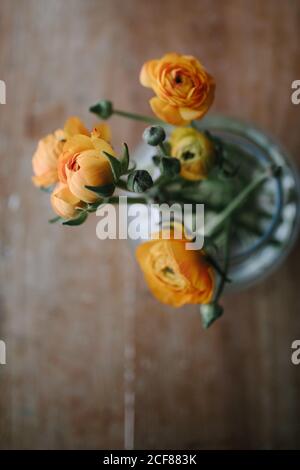 Draufsicht auf Bündel von frischen orangen Pfingstrosen Blumen platziert In Klarglas Glas auf Holztisch im rustikalen Stil Stockfoto