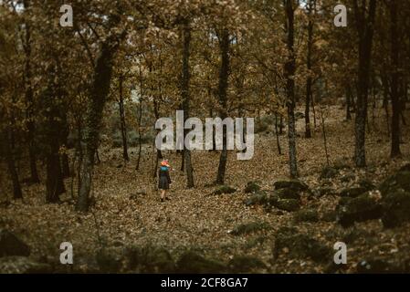 Anonyme Frau in Papier Fuchs Maske zu Fuß in geheimnisvollen Herbstwald bei bewölktem Wetter. Konzept des Schutzes von Wildtieren und Lebensräumen Stockfoto