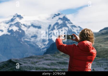 Anonymer Bauer, der am Sommertag in Coun Chilis aus Ibarra sammelt, während er in der Nähe von grünen Pflanzen arbeitet, die in der landwirtschaftlichen Plantage im Boden wachsen Stockfoto