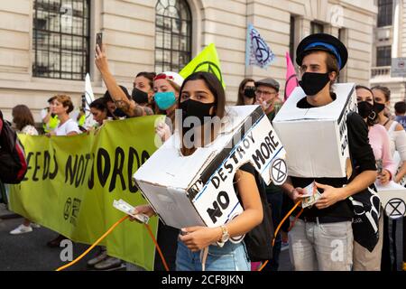 Protestierende bei einem marsch während einer demonstration des marsches, der Rebellion des Aussterbens, London, 1. September 2020 Stockfoto
