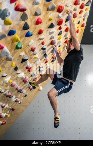 Von bellow starken männlichen Athleten in Sportbekleidung Klettern auf bunt Wand während des Trainings im modernen Kletterzentrum Stockfoto