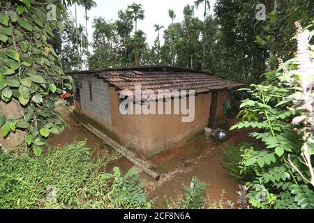 PANIYAN STAMM, traditionelles Haus in Chulliyod Dorf, Vannathara Kolonie, Kerala, Indien. Auch Paniya genannt oder auch bekannt als Paniyar Stockfoto