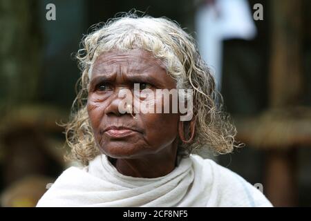 PANIYAN STAMM, Alte Frau mit Nasenring, Chulliyod Dorf, Vannathara Kolonie, Kerala, Indien Stockfoto