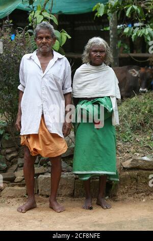 PANIYAN STAMM, altes Paar in traditioneller Kleidung, Chulliyod Dorf, Vannathara Kolonie, Kerala, Indien Stockfoto