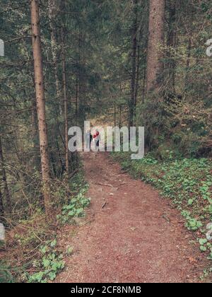 Rückansicht von Wanderern bewundernde Aussicht beim Wandern auf dem Weg zwischen wilden Bereich in den Dolomiten, Italien Stockfoto