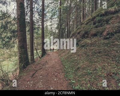 Rückansicht von Wanderern bewundernde Aussicht beim Wandern auf dem Weg zwischen wilden Bereich in den Dolomiten, Italien Stockfoto