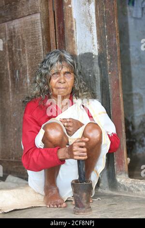 PANIYAN STAMM, Tribal Alte Frau mit Stößel und Mörser -Chulliyod Dorf, Kottayil, Kerala, Indien Stockfoto